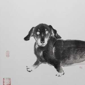 犬童丸 Juvenile Dog by 王怡然 WANG Yi Jan 