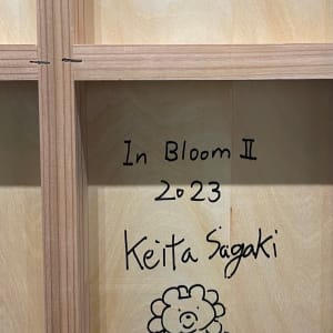 綻放2  Bloom II by 佐垣慶多 SAGAKI Keita 