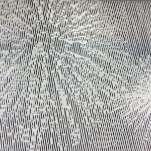 花火6 Fireworks 6 by 今西貞也 IMANISHI Shinya