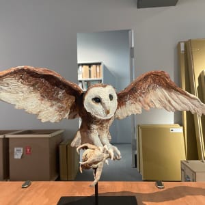 貓頭鷹與木芙蓉 Owl and Hibiscus by 林瑩真 LIN Ying-Chen 