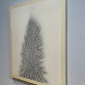 浮游花草 II Planktonic Plant II by 洪千惠 HUNG Chien Hui 