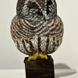 小貓頭鷹 Little Owl by 門永哲郎 TETUROU Kadonaga 