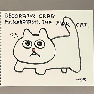 粉紅貓小林先生 Pink Cat Kobayashi-san by 飯川雄大 Takehiro Iikawa 