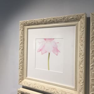 荷花 (二)  Lotus 2 by 近藤 悟 KONDO Satoru 