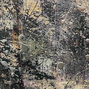 預見夢想：冬日裡的溫柔  Foresight Dream - On winter days, I try to borrow the sunlit leaves by 西村大樹 Daiki NISHIMURA 