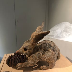 菊貍 Billby by 林瑩真 LIN Ying-Chen 