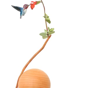 世界上最小的豆蜂鳥和櫻桃鼠尾草 World's Smallest Bean Hummingbird and Cherry Sage by 門永哲郎 TETUROU Kadonaga 