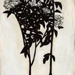 (77/168 ) 常玉版畫 菊 Chrysanthemum by 常玉 Sanyu 