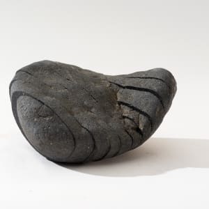 隨著時光流逝 As Time goes by by 秋吉 怜 AKIYOSHI Ryo