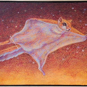 Solar Squirrel (lost constellation Sciurus Volans) by Lisa Bohnwagner