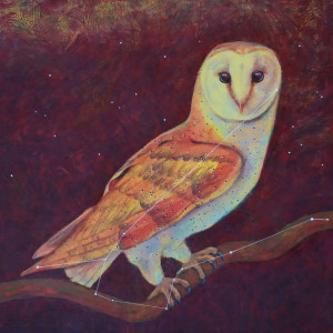 Astro Owl (constellation Noctua) by Lisa Bohnwagner