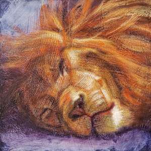 To Sleep by Lisa Bohnwagner