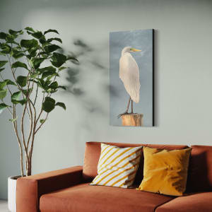 Standing Tall (Egret) by Barbara Teusink 
