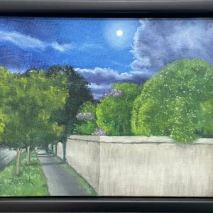 Nocturnal Walls by Barbara Teusink 