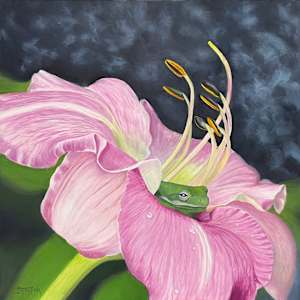 Lily Frog by Barbara Teusink
