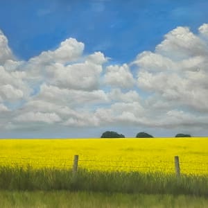 Fields of Gold by Barbara Teusink