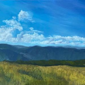 The Bald View by Barbara Teusink