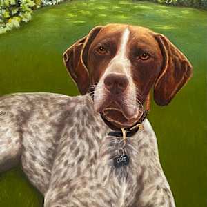 Colt by Barbara Teusink