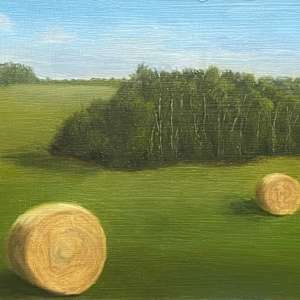 Bale Me Out (aka 12) by Barbara Teusink, Image 5.