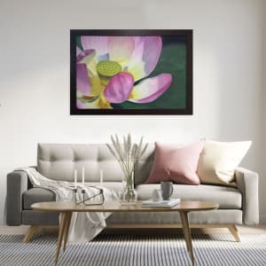 Luminous Lotus by Barbara Teusink 