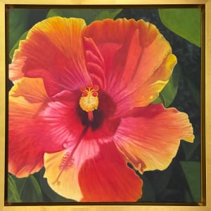 Tequila Sunrise by Barbara Teusink 