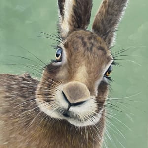 Are We Hare Yet? by Barbara Teusink