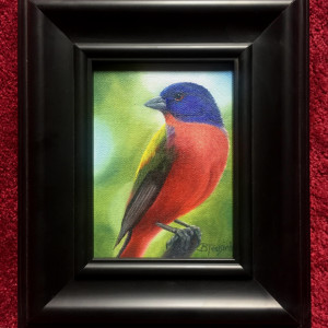 Painted Bunting by Barbara Teusink 