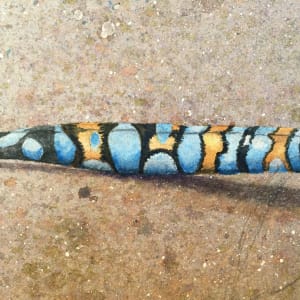 Dragonfly Blue by Sheryl L Brake 