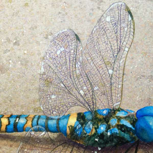 Dragonfly Blue by Sheryl L Brake 