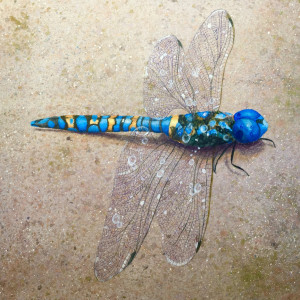Dragonfly Blue by Sheryl L Brake