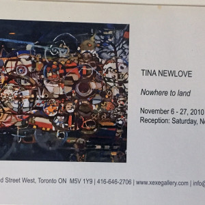 Nowhere to Land by Tina Newlove 