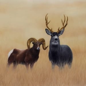 Worth Its Weight by 3rd Version, Ben Paterson