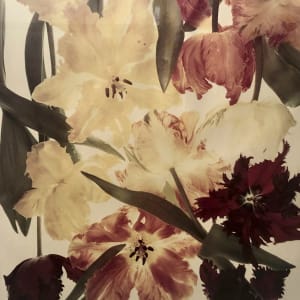 Flower Studies #126 by Michael Geiger
