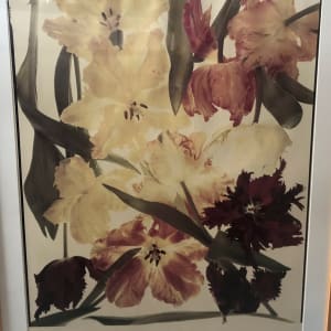 Flower Studies #126 by Michael Geiger 