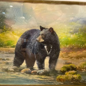 American Black bear, Ursus Americanus by Demetrij Achkasov
