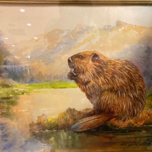 Beaver Castor by Demetrij Achkasov