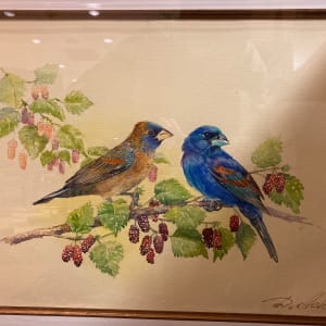 Pair of Blue Grosbeaks (Cardinalidae) by Demetrij Achkasov