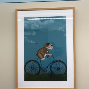 English Bulldog on Bicycle - Sky 