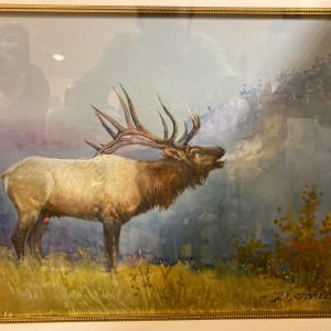 Elk Cervus Canadenis by Demetrij Achkasov