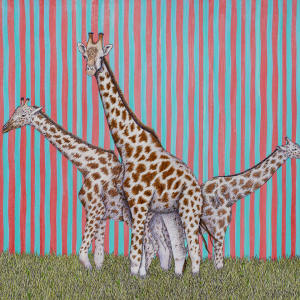 Giraffes by Mark Stokesbury