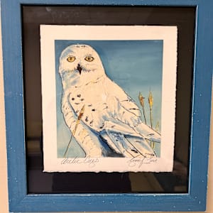 Artic Eyes by Jenny Lowe