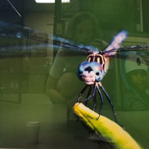 Dragonfly by Unknown Robinson