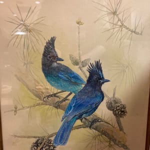 Pair of Steller's Jay by Demetrij Achkasov