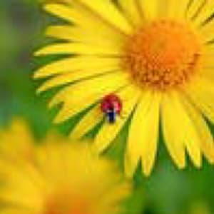 Untitled by Stock Photo