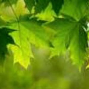 Untitled by Stock Photo