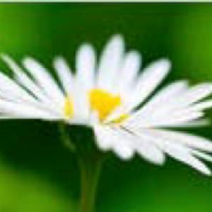 Untitled by Stock Photo