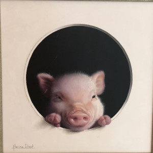 Cochon #8 by Marina Dieul 