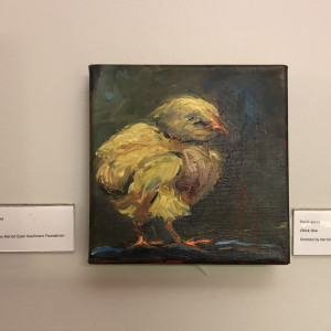 Chick One by Paula Jones 