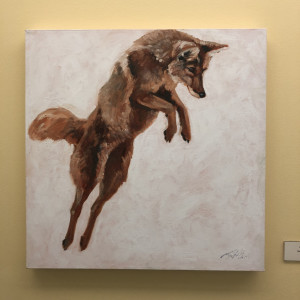 Pounce! 1 (Coyote) by Linda St. Clair