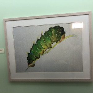 Green Caterpillar by Carol Carter 